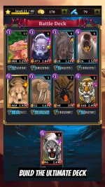 TCG Deck Adventures Wild Arena
