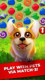 Pets Story Puzzle