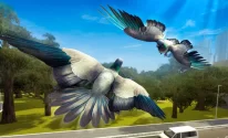 City Bird Pigeon Simulator 3D