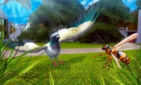 City Bird Pigeon Simulator 3D