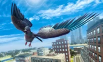 City Bird Pigeon Simulator 3D