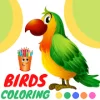 Birds Coloring Game