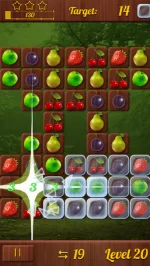 Fruits & Berries Free