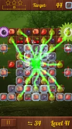 Fruits & Berries Free