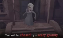 Granny's house - Multiplayer escapes