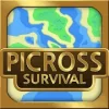 Picross Survival