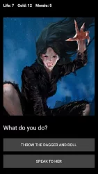 D&D Style Medieval Fantasy RPG (Choices Game)