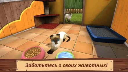 Мир питомцев — Приют для животных