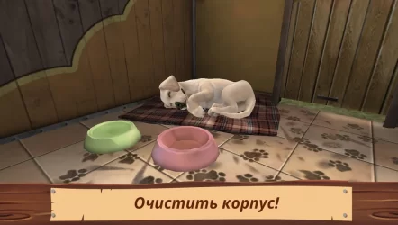 Мир питомцев — Приют для животных