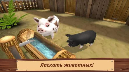 Мир питомцев — Приют для животных