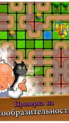 Мазе-фиеста