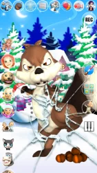 Говоря Белка Замороженные лес