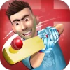 Cricket Star Версия: 2.0.9