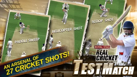 Real Cricket™ Test Match