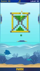 Квадраноид