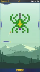 Квадраноид