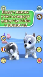 Говоря хаски Собаки