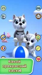 Говоря хаски Собаки