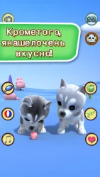 Говоря хаски Собаки