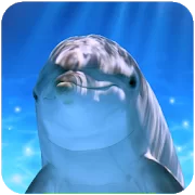 Tap Dolphin Версия: 1.0.3