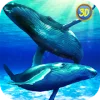 Whale Family Simulator Версия: 1.2