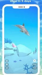 Tap Dolphin