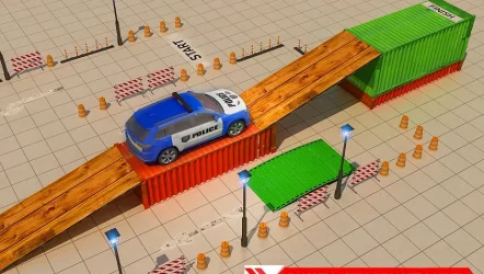 сумасшедшая полиция