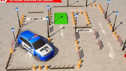 сумасшедшая полиция