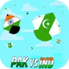 Индия против Пакистана Басант Фестиваль 2020 Версия: 1.1
