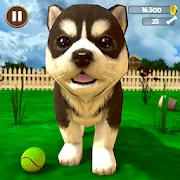 Виртуальный щенок симулятор