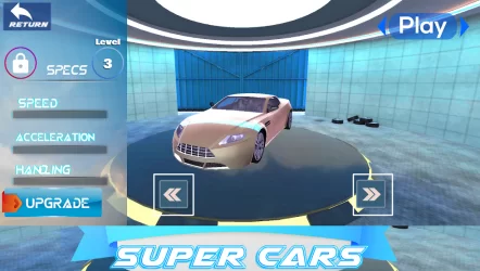 Fury Super Cars 2020
