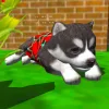 Cute Pocket Puppy 3D