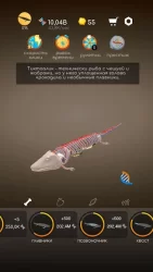 Idle Evolution - from Cell to Human