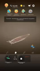 Idle Evolution - from Cell to Human