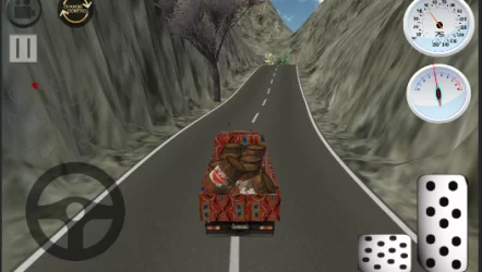 Pak Cargo Transporter Simulator - 2020