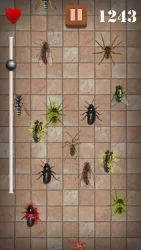 Дробилка червей