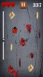 Дробилка червей