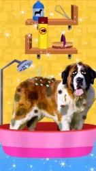 St Bernard уход домашними животными - собачьи игры