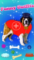 St Bernard уход домашними животными - собачьи игры