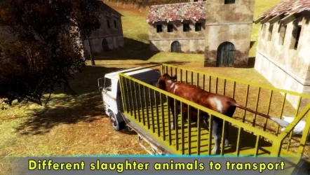 Pk Eid Animal Transport Truck