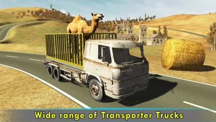 Pk Eid Animal Transport Truck
