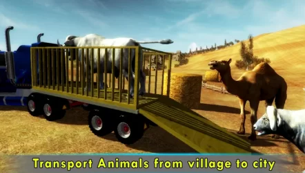 Pk Eid Animal Transport Truck