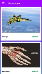 Викторина: Прокачай мозги