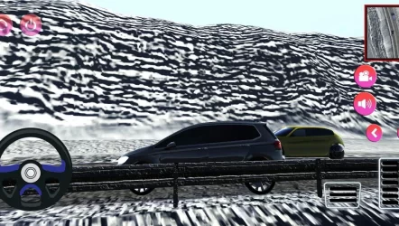 Polo Driving Simulator