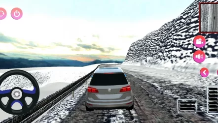 Polo Driving Simulator