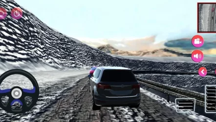 Polo Driving Simulator