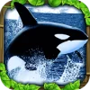 Orca Simulator Версия: 1.2