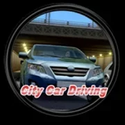 City Driving Версия: 1.0
