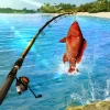 Fishing Clash Версия: 1.0.243