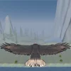 eagle run